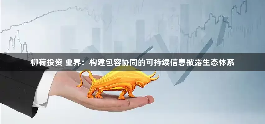 柳荷投资 业界：构建包容协同的可持续信息披露生态体系