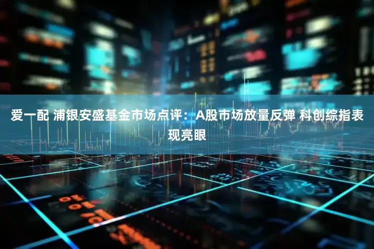 爱一配 浦银安盛基金市场点评：A股市场放量反弹 科创综指表现亮眼