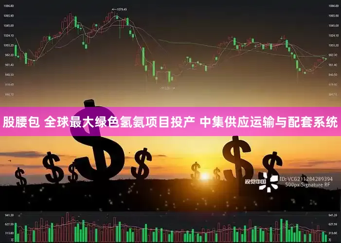 股腰包 全球最大绿色氢氨项目投产 中集供应运输与配套系统