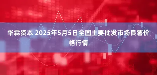 华霖资本 2025年5月5日全国主要批发市场良薯价格行情